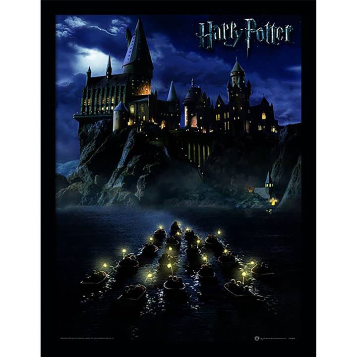 Harry Potter - Hogwarts School Collector Print (Framed) - Pyramid