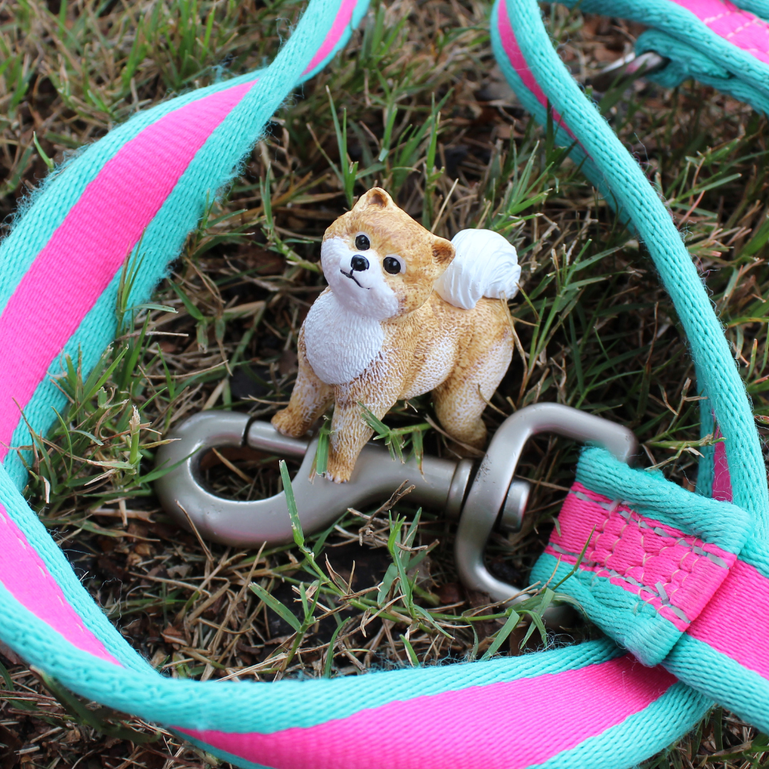 Safari Ltd - Pomeranian