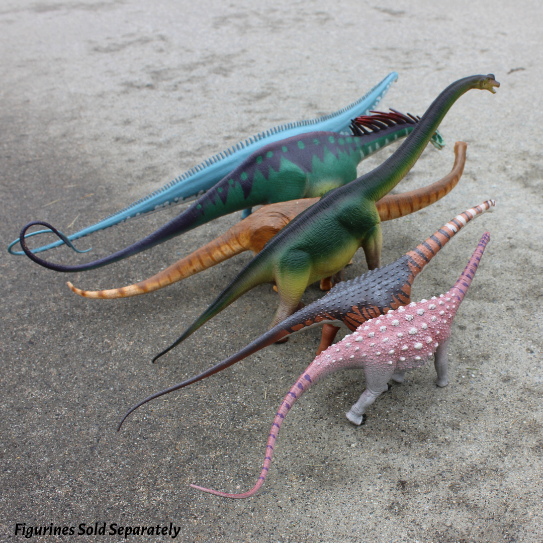 Safari Ltd - Saltasaurus