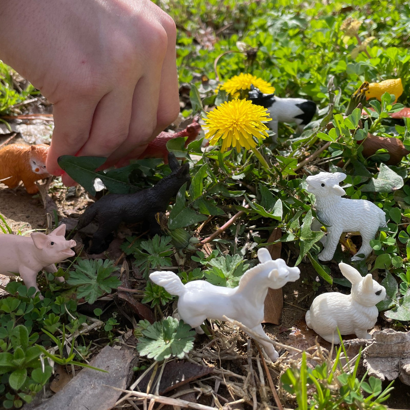 Safari Ltd - Farm Babies TOOB®