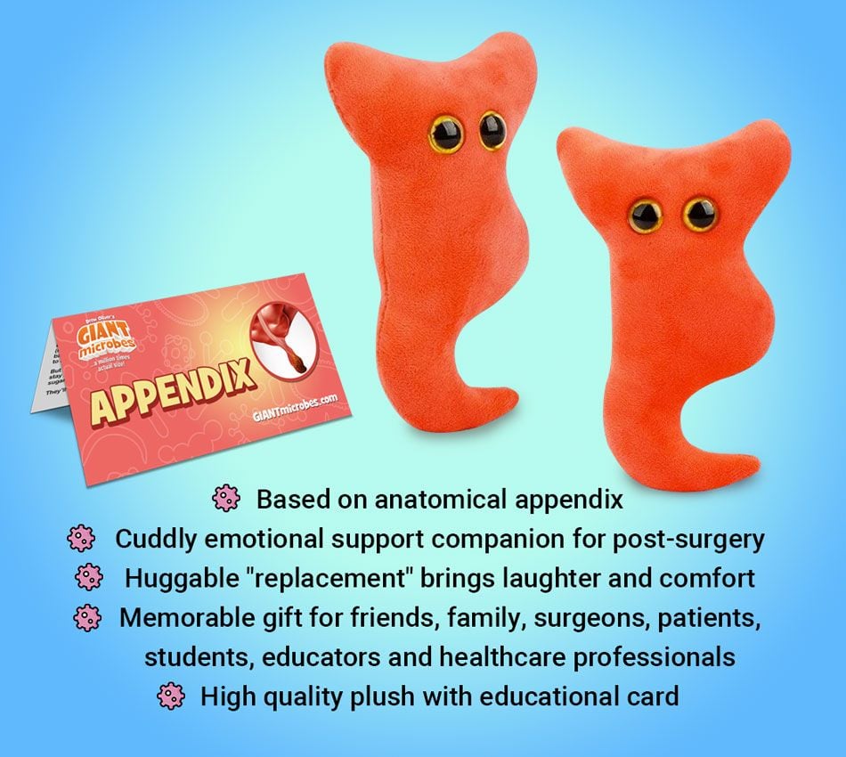 GIANTmicrobes - Appendix (blindtarm)
