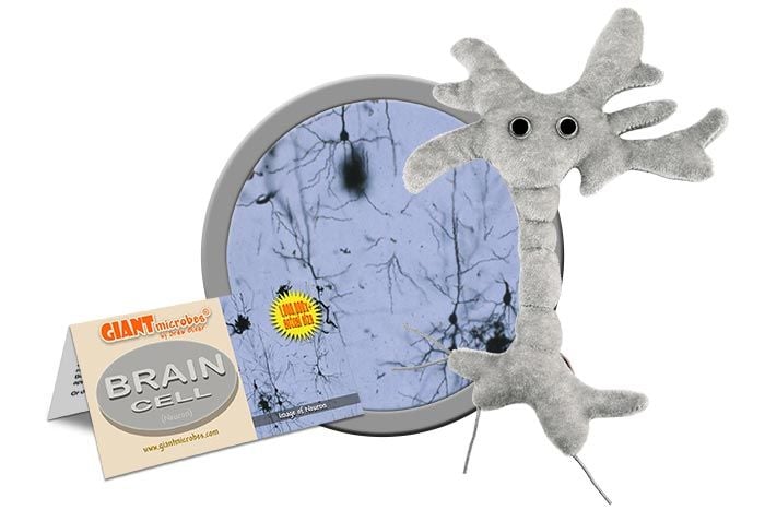 GIANTmicrobes - Hjärncell (Neuron)