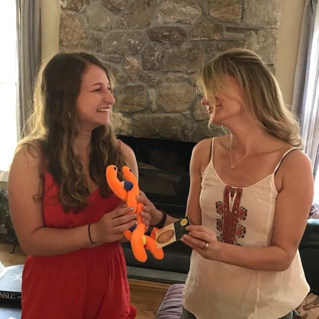 GIANTmicrobes - DNA (Deoxyribonucleic Acid)