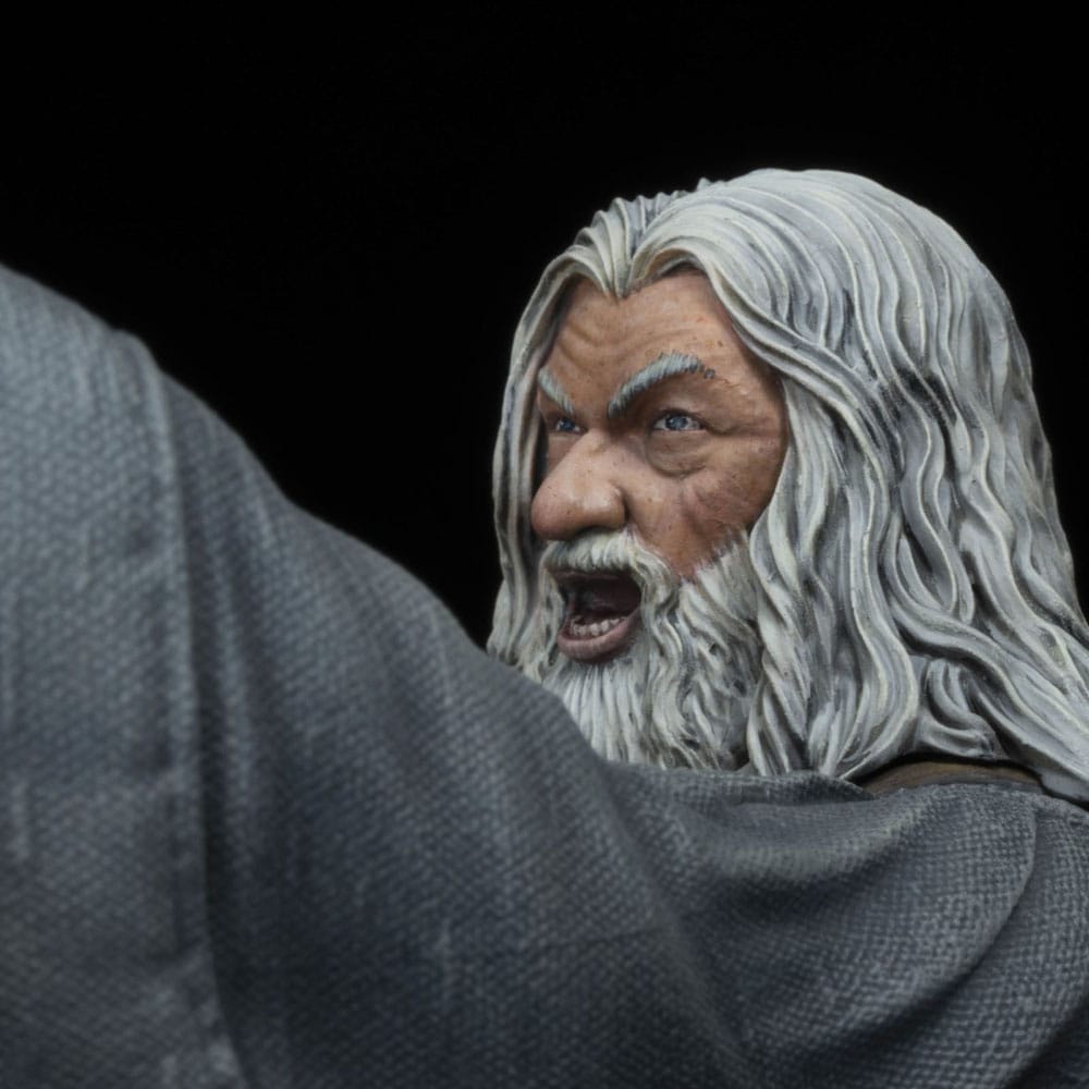 The Lord of The Rings - Gandalf In Moria