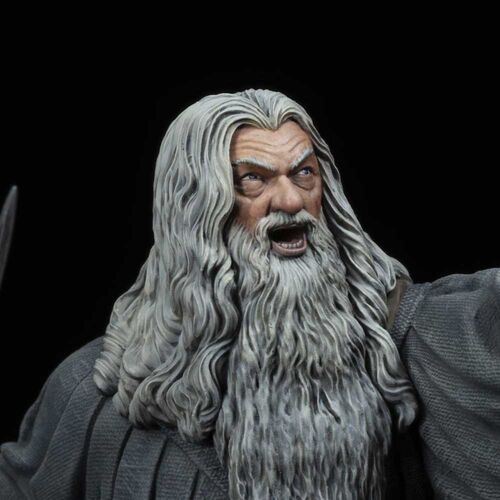 The Lord of The Rings - Gandalf In Moria