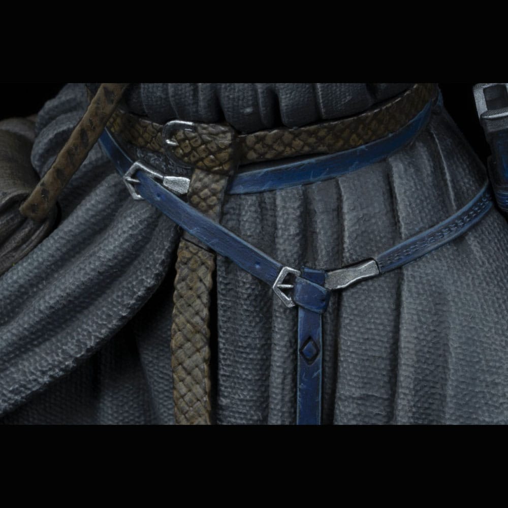 The Lord of The Rings - Gandalf In Moria