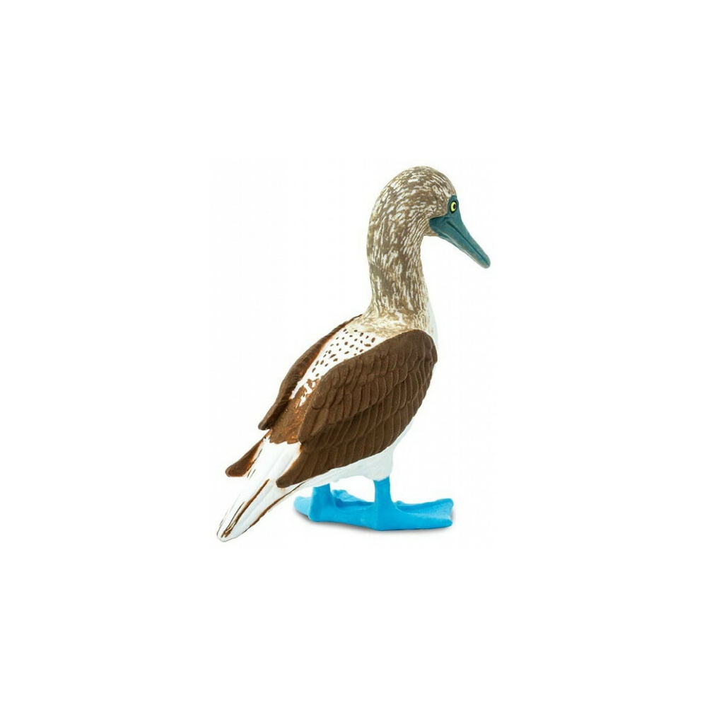 Safari Ltd - Blue Footed Booby