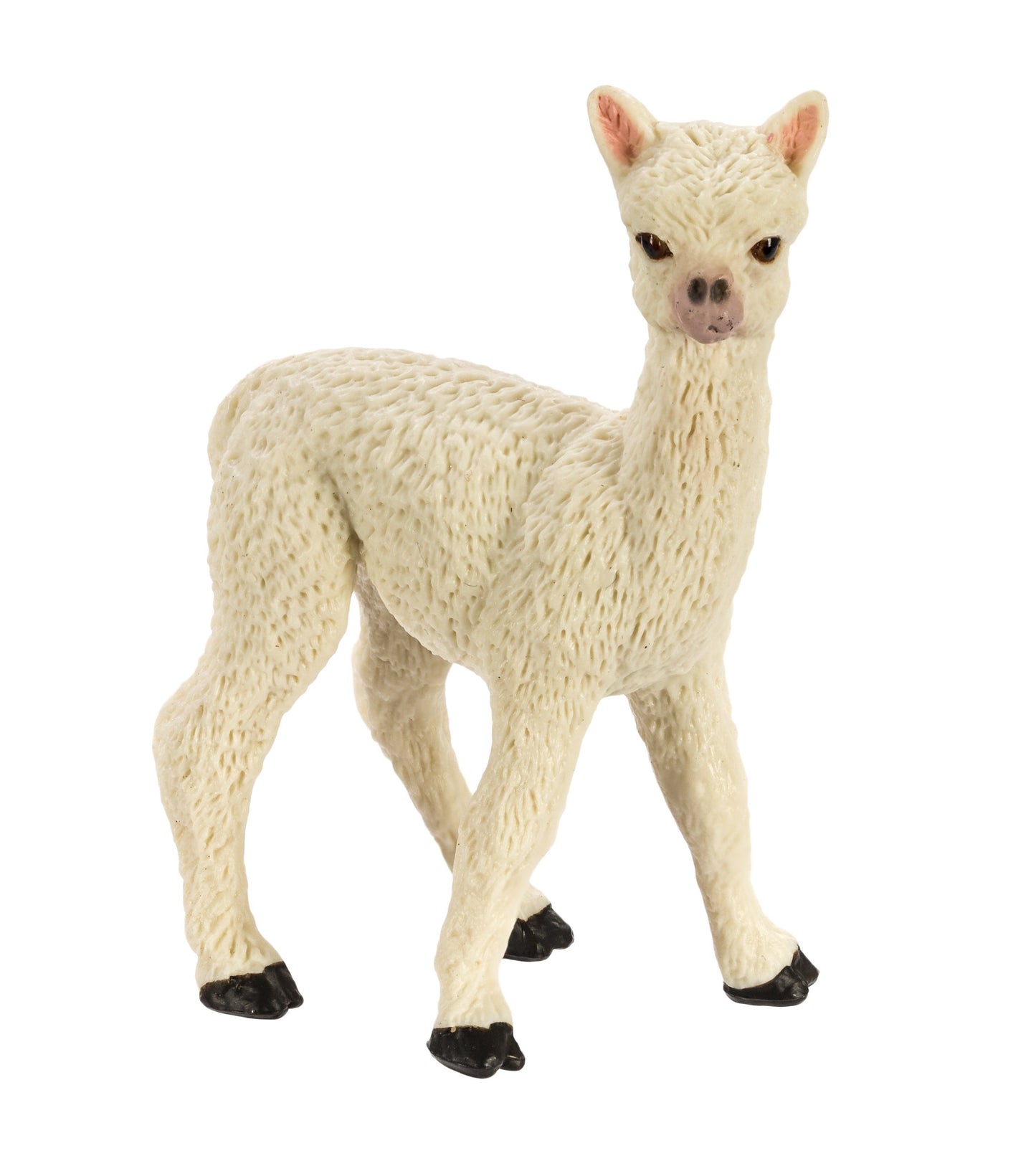 Safari Ltd - Alpaca Baby