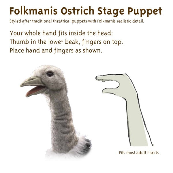 Folkmanis® Puppets - Ostrich Stage Puppet (Struts för dockteater)