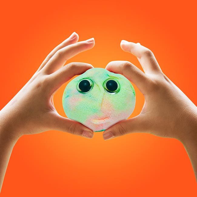 GIANTmicrobes - Stem Cell (Stamcell)