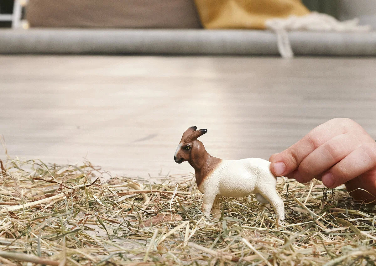 Schleich - Boerget (Boer goat)