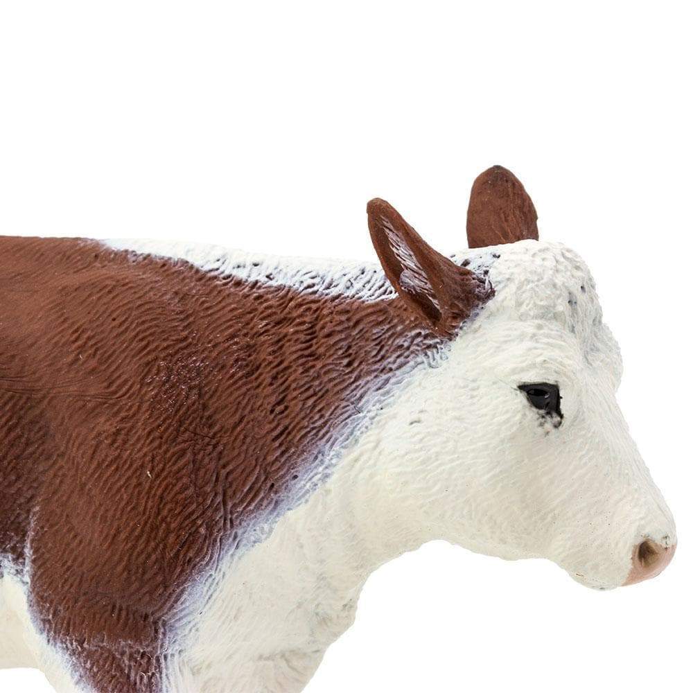 Safari Ltd - Hereford ko