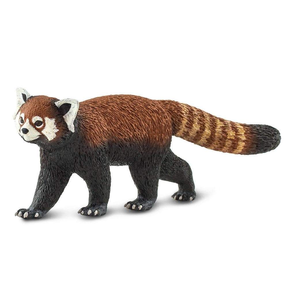 Röd panda (stor modell)