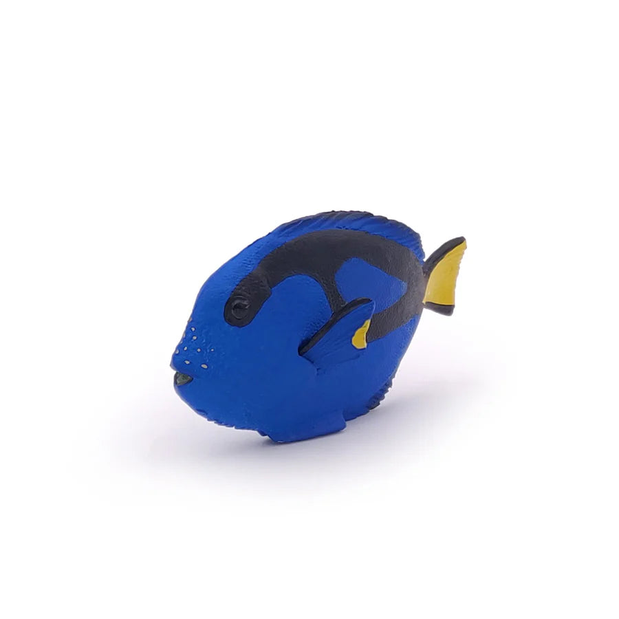 Papo - Surgeonfish