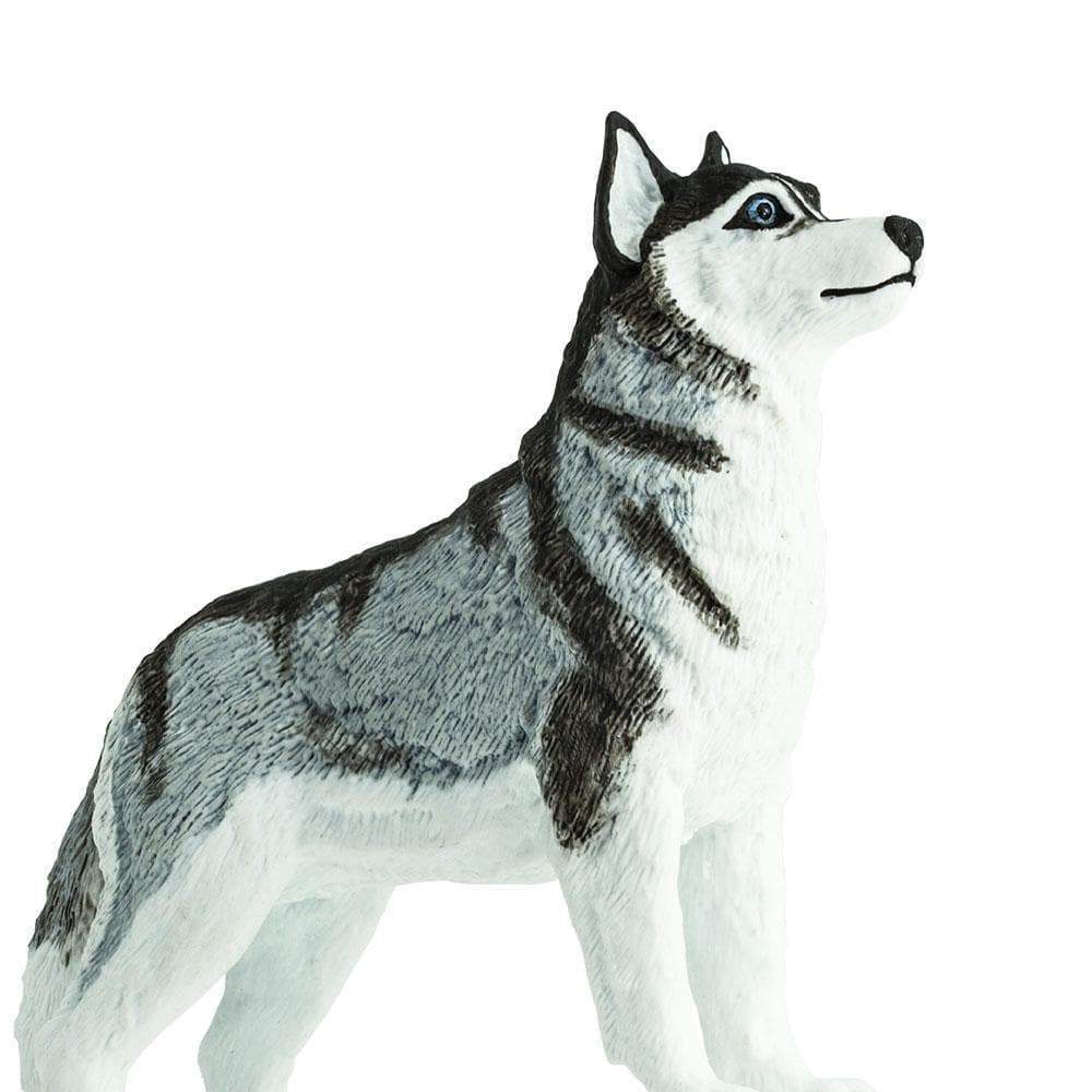 Safari Ltd - Siberian Husky
