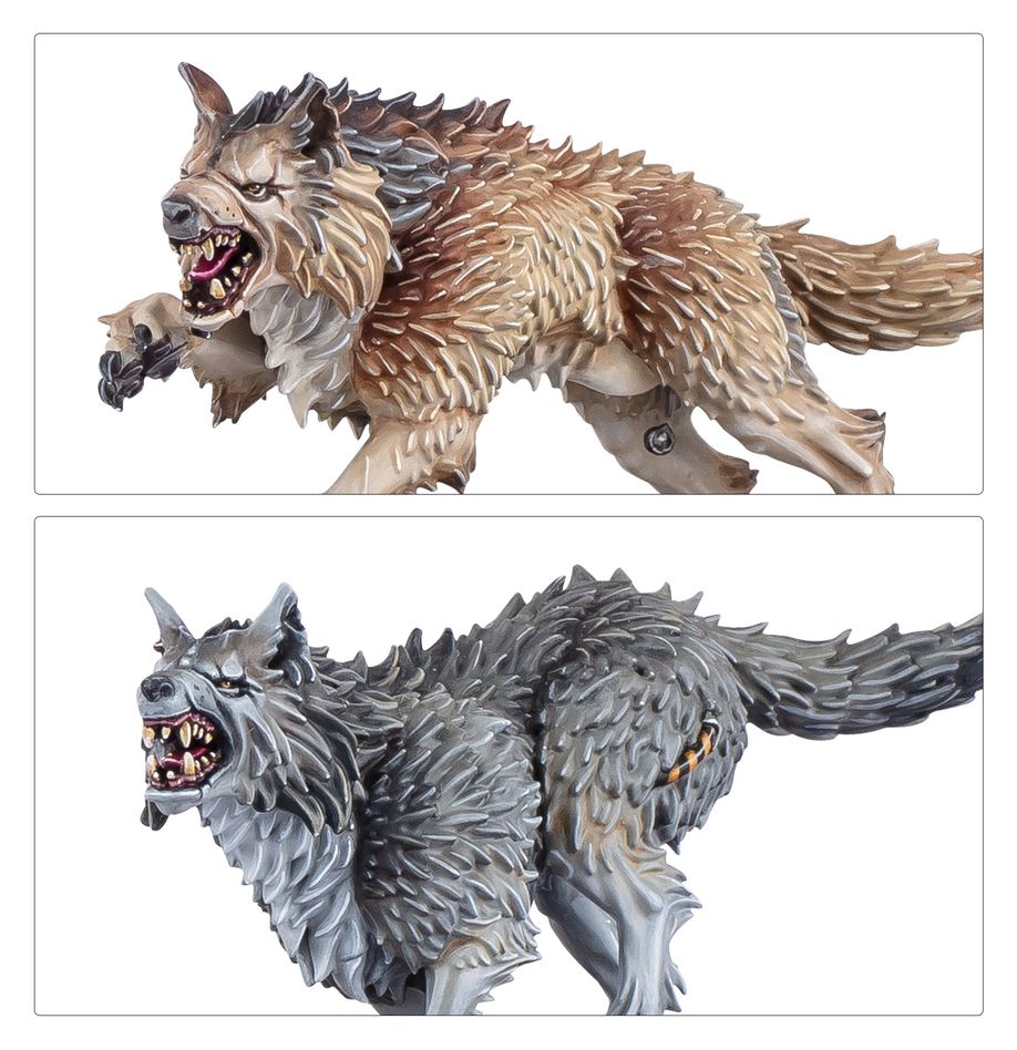 Warhammer: 40,000 - Army Set - Space Wolves