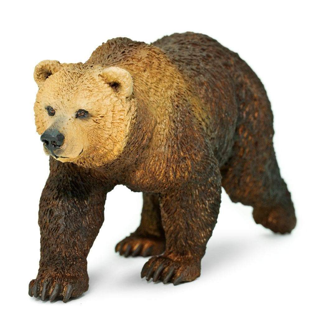 Safari Ltd - Grizzlybjörn
