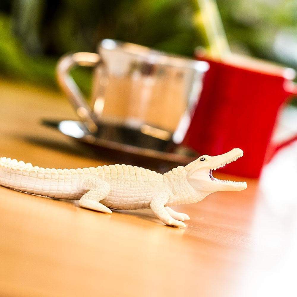 Safari Ltd - Alligator white