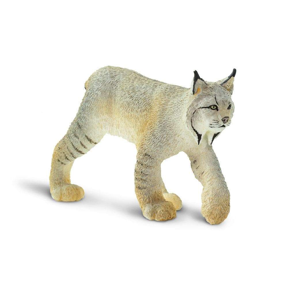 Safari Ltd - Lodjur