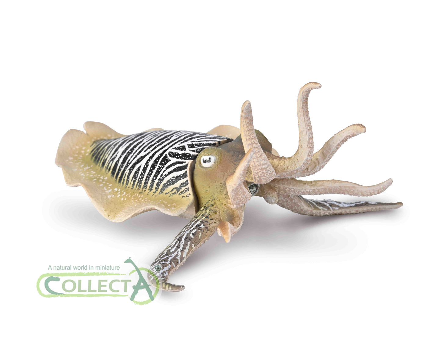 CollectA - Sidensepia (Common Cuttlefish)