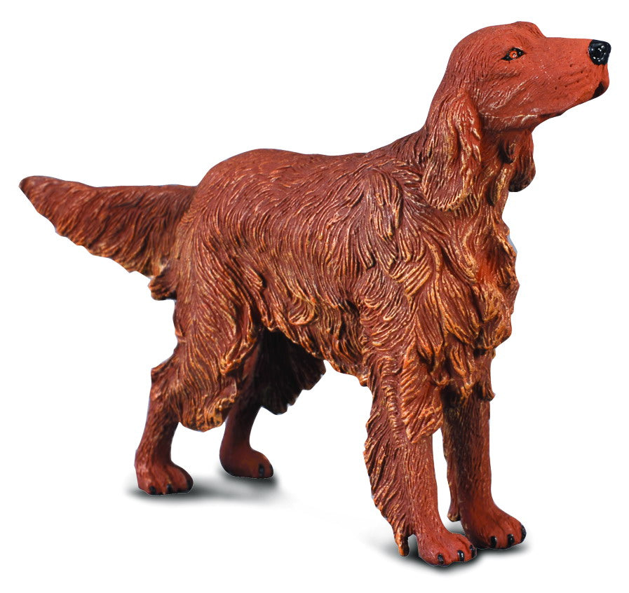 CollectA Irländsk Röd Setter, detaljrik hundfigur med karakteristisk kastanjeröd päls och elegant hållning.