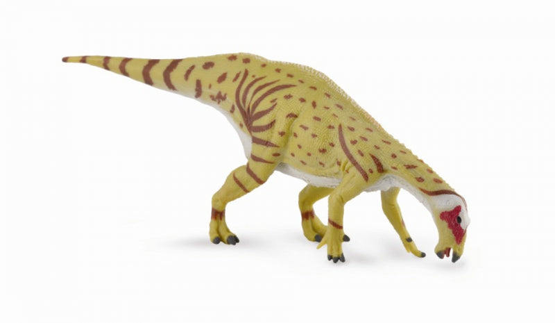 CollectA - Mantellisaurus - (dricker)