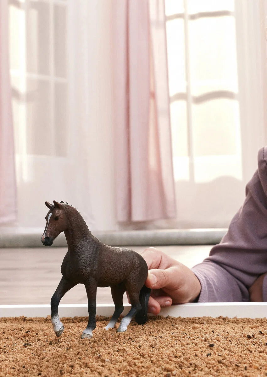 Schleich - Holländsk Varmblod (Valack)