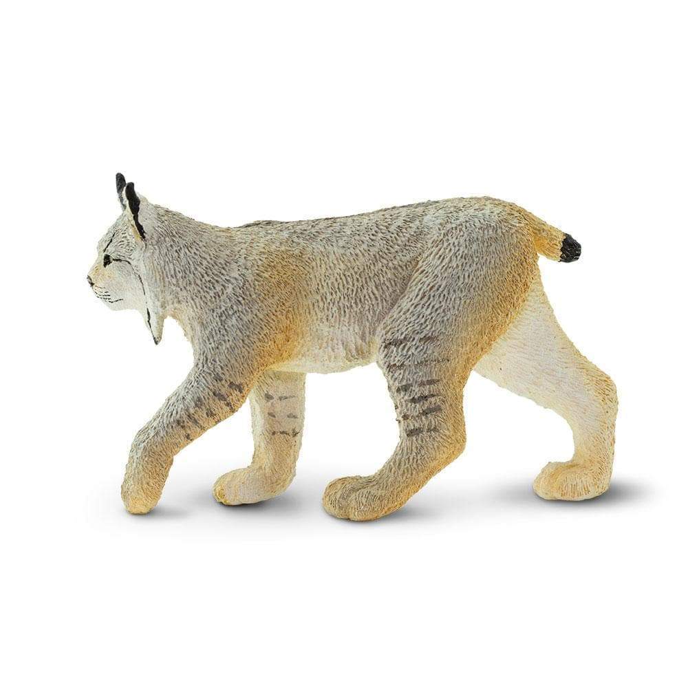Safari Ltd - Lodjur