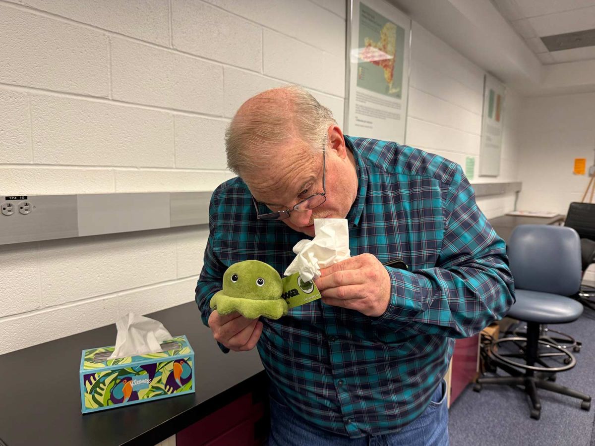 GIANTmicrobes – Snorkråka Plysch