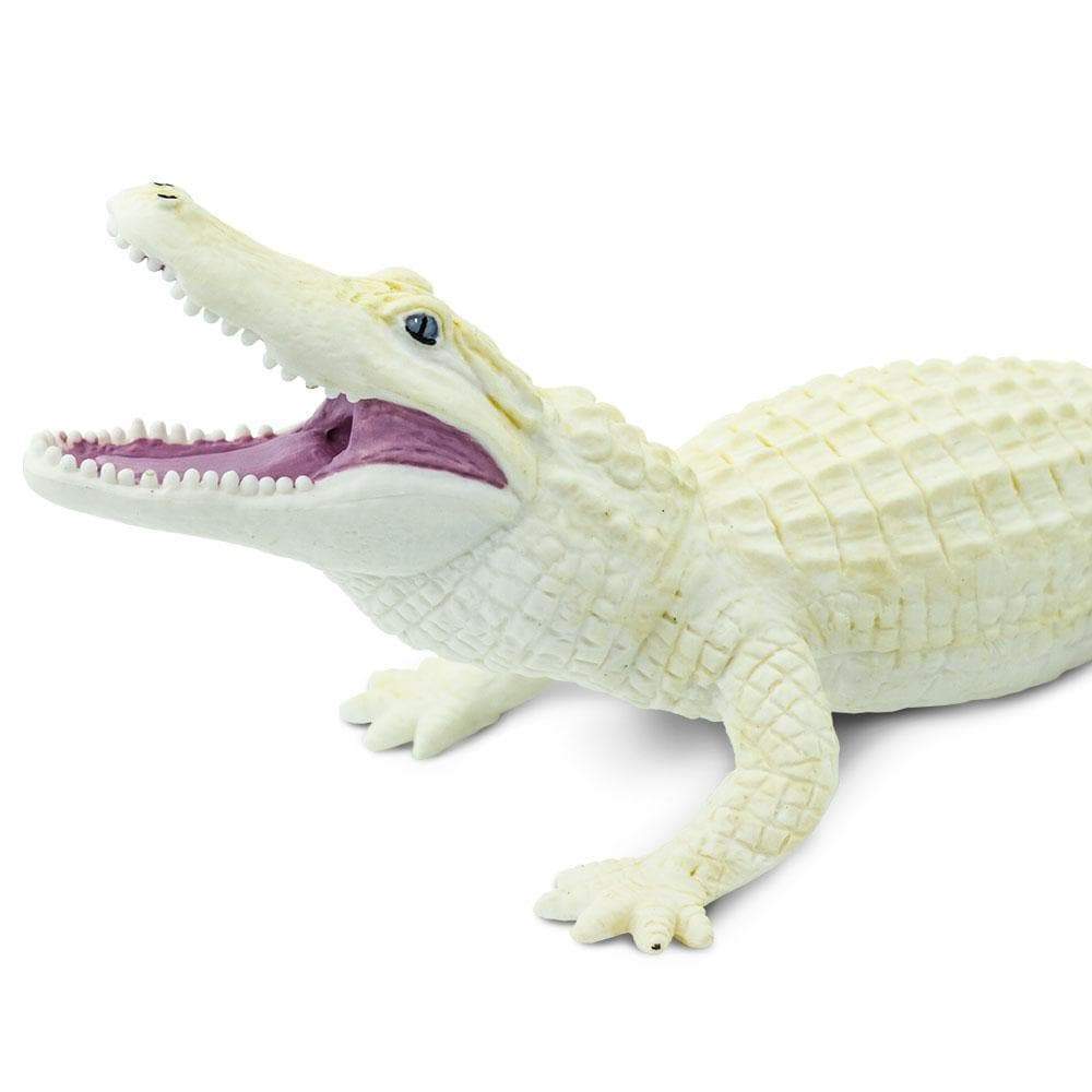 Safari Ltd - Alligator white