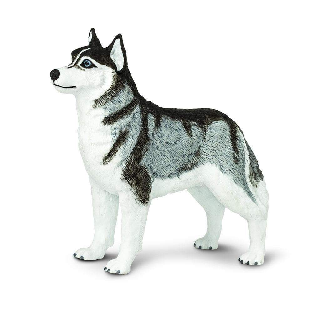 Safari Ltd - Siberian Husky