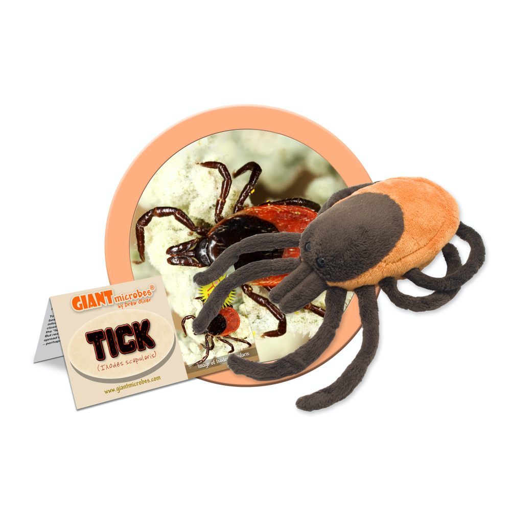 GIANTmicrobes – Fästing (Ixodes Scapularis)