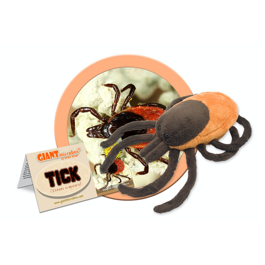 GIANTmicrobes – Fästing (Ixodes Scapularis)