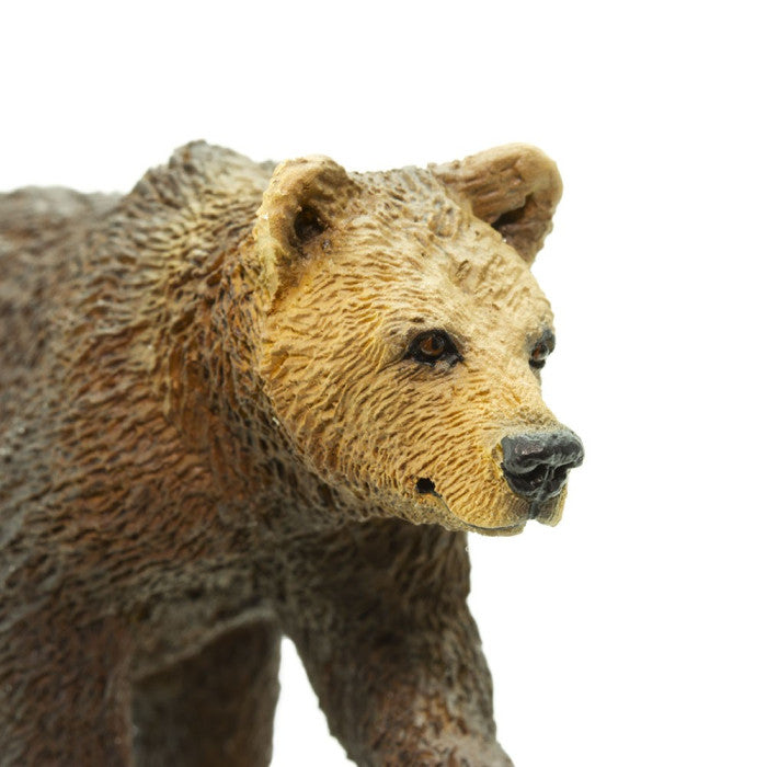 Safari Ltd - Grizzlybjörn unge