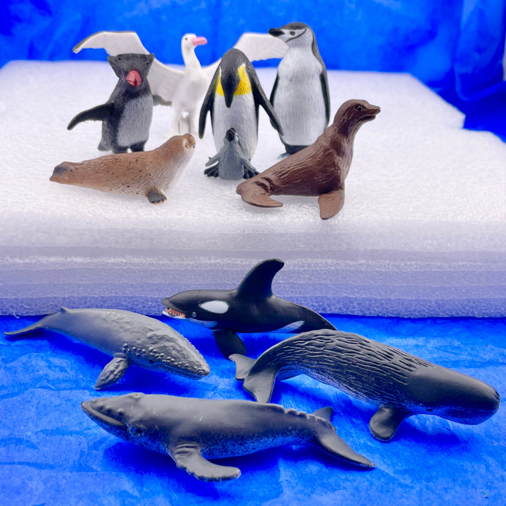 Safari Ltd - Antarktis TOOB®