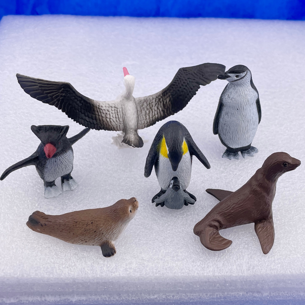 Safari Ltd - Antarktis TOOB®