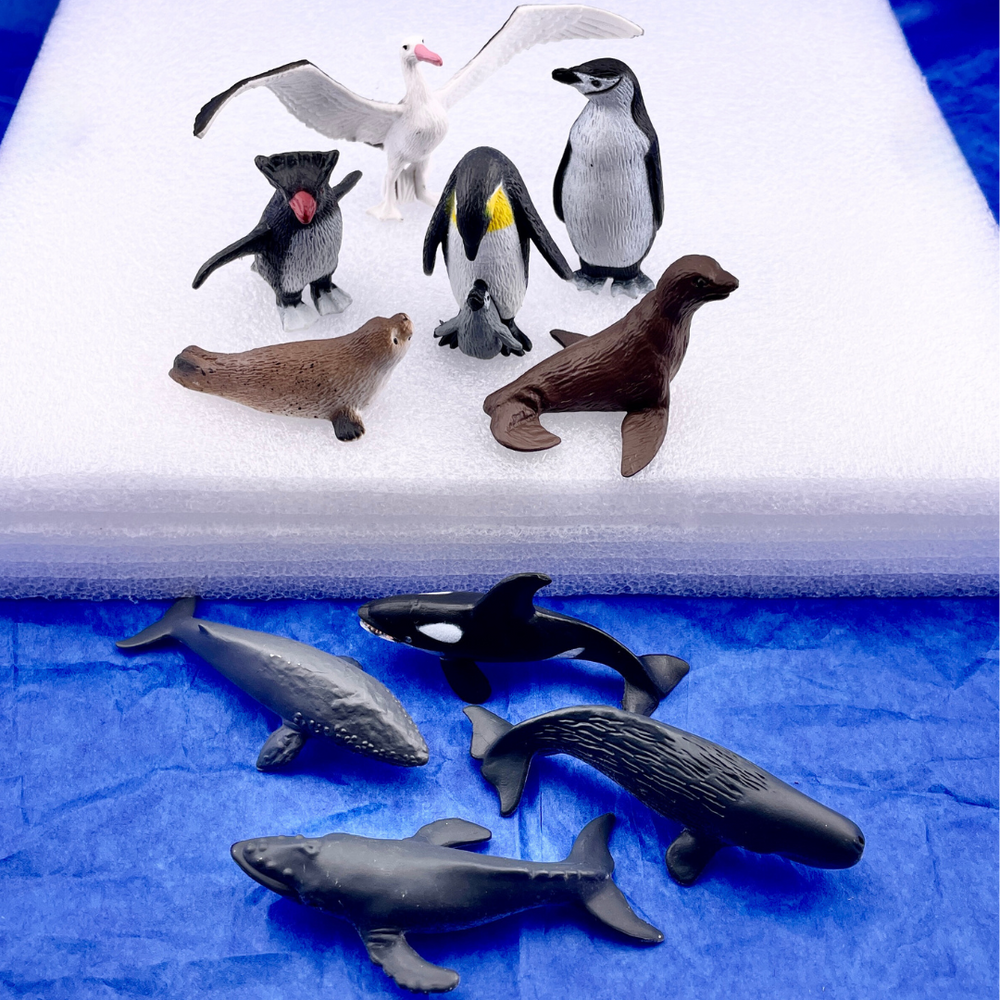 Safari Ltd - Antarktis TOOB®