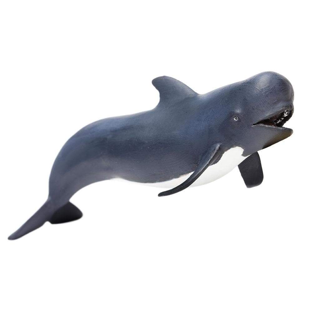 Safari Ltd - Kortfenad grindval (Pilot whale)
