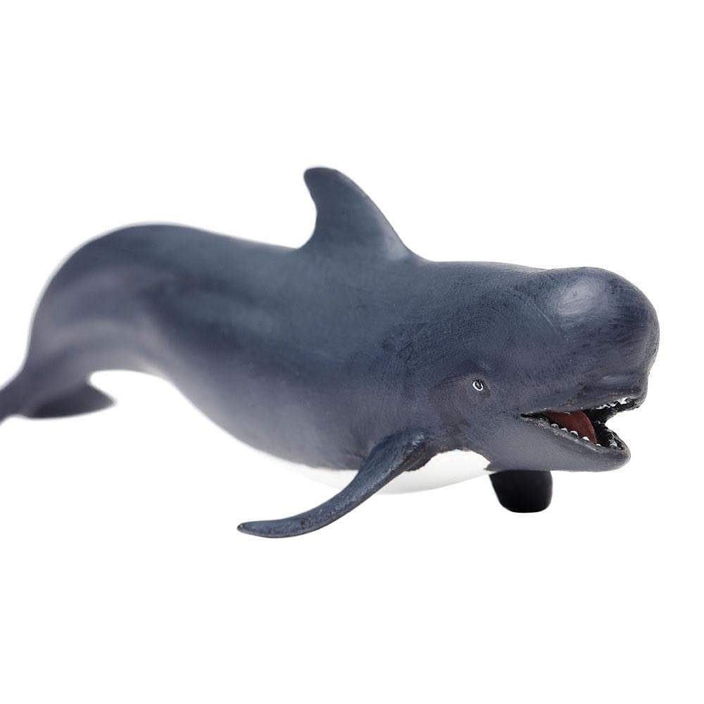 Safari Ltd - Kortfenad grindval (Pilot whale)