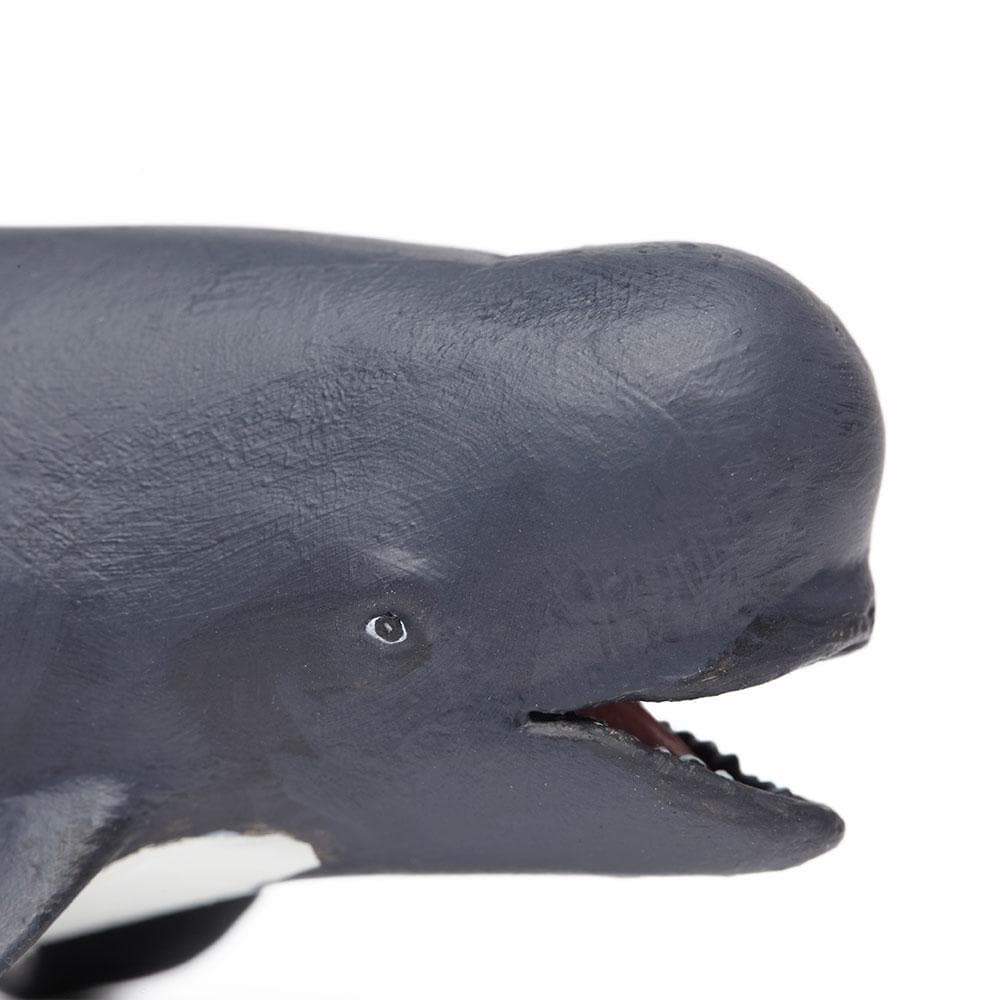 Safari Ltd - Kortfenad grindval (Pilot whale)