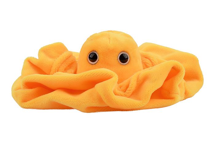 GIANTmicrobes – Plasma (Blood plasma)