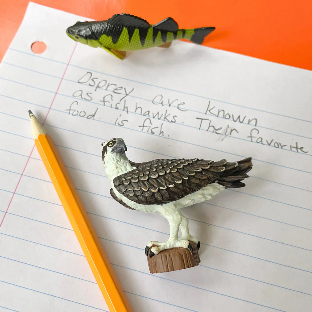 Safari Ltd - Fiskgjuse