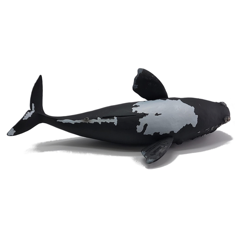 CollectA - Stillahavsnordkapare (Eubalaena, Right Whale)