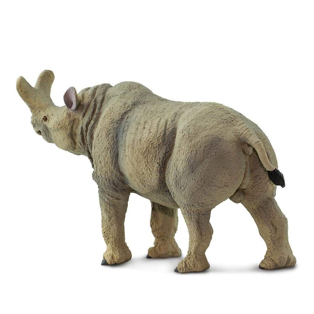 Safari Ltd - Megacerops