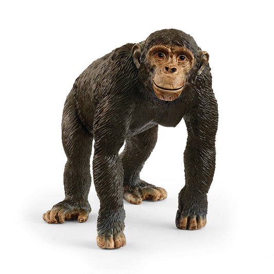 Schleich - Schimpans
