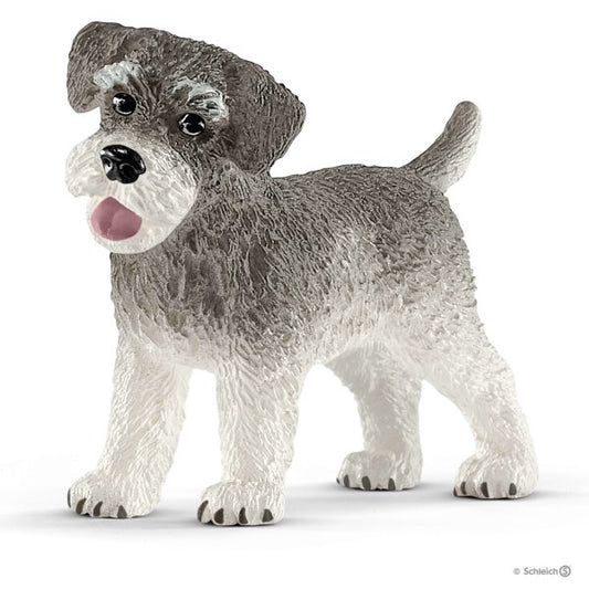 Dvärgschnauzer