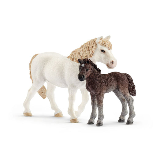 Ponny sto och föl