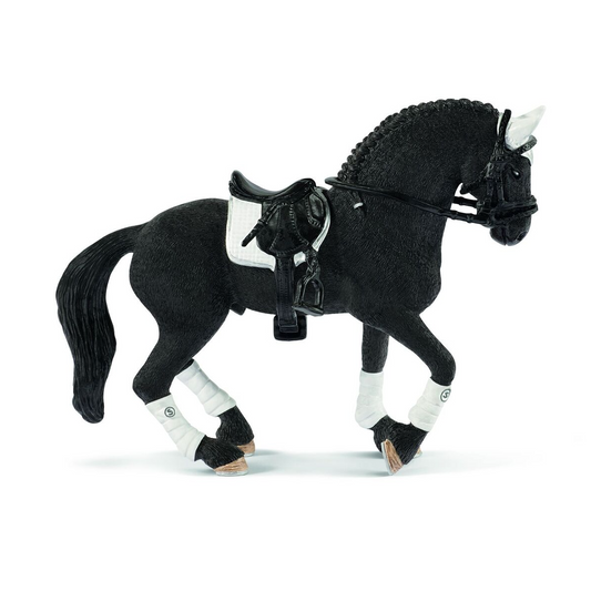Frieserhäst, hingst, dressyrhäst