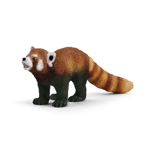 Röd panda
