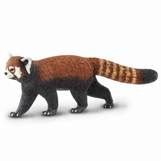 Red panda (Scale: 1:5.5 cat bear)